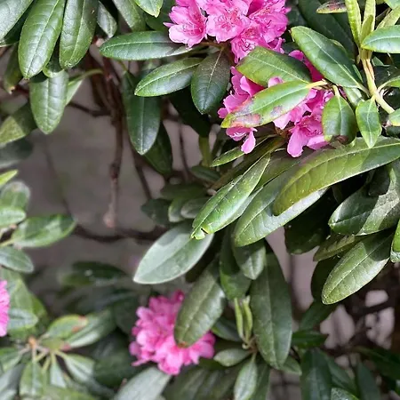 Sea, Sauna And Center Helsinki